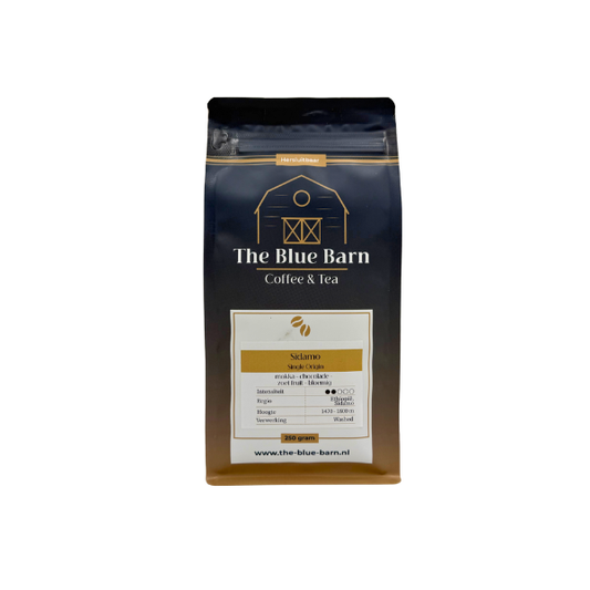 Sidamo