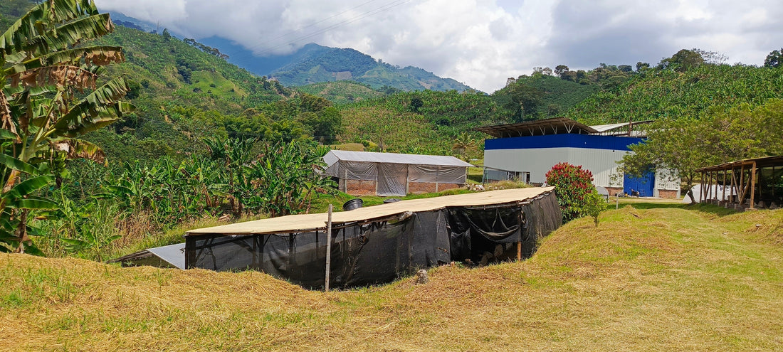 Colombian Azure: Direct Trade Koffie met een Missie